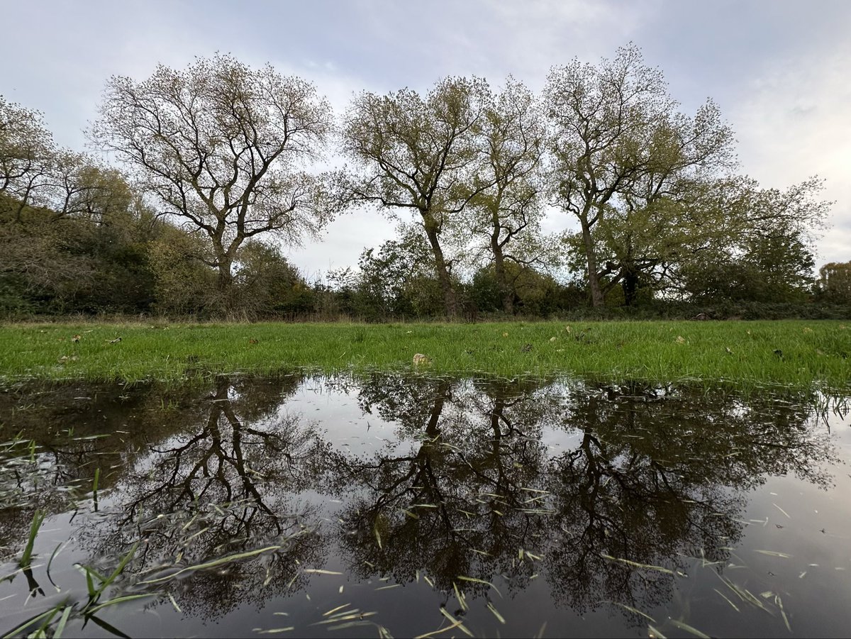 Jay Up North tweet media