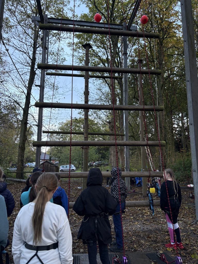 Layton Trips tweet media