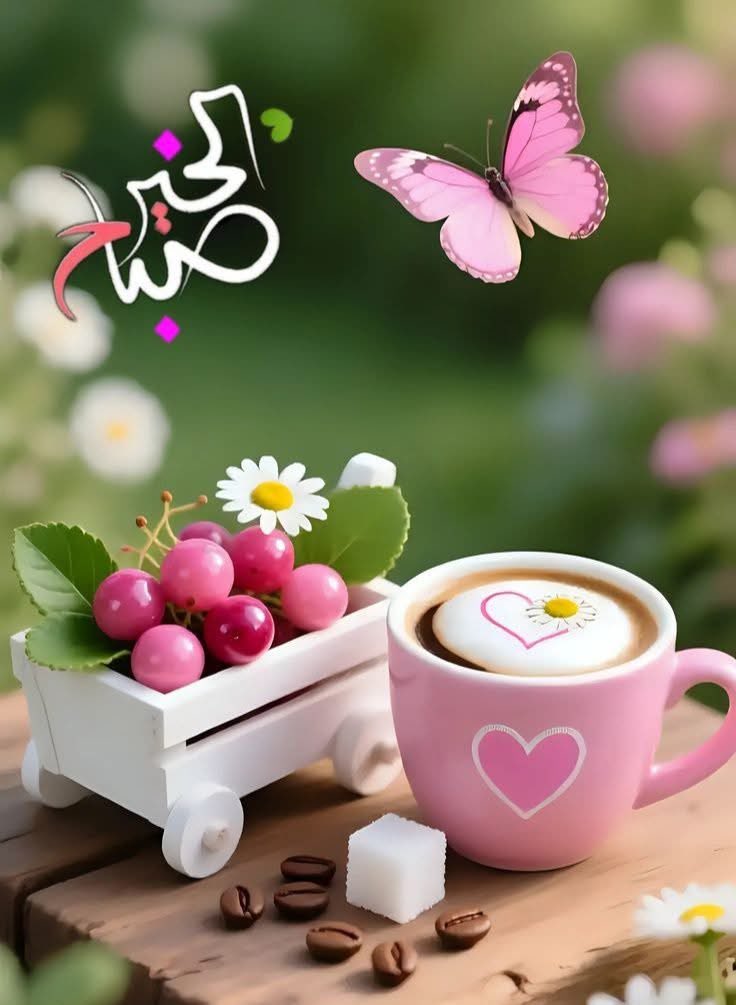 🌷🌿  يَاربّ اليُسر لكُل طَريق ومُبتغَى🌿🌷

                    🌷صباحكم خير🌷 

   #جمعة_طيبة