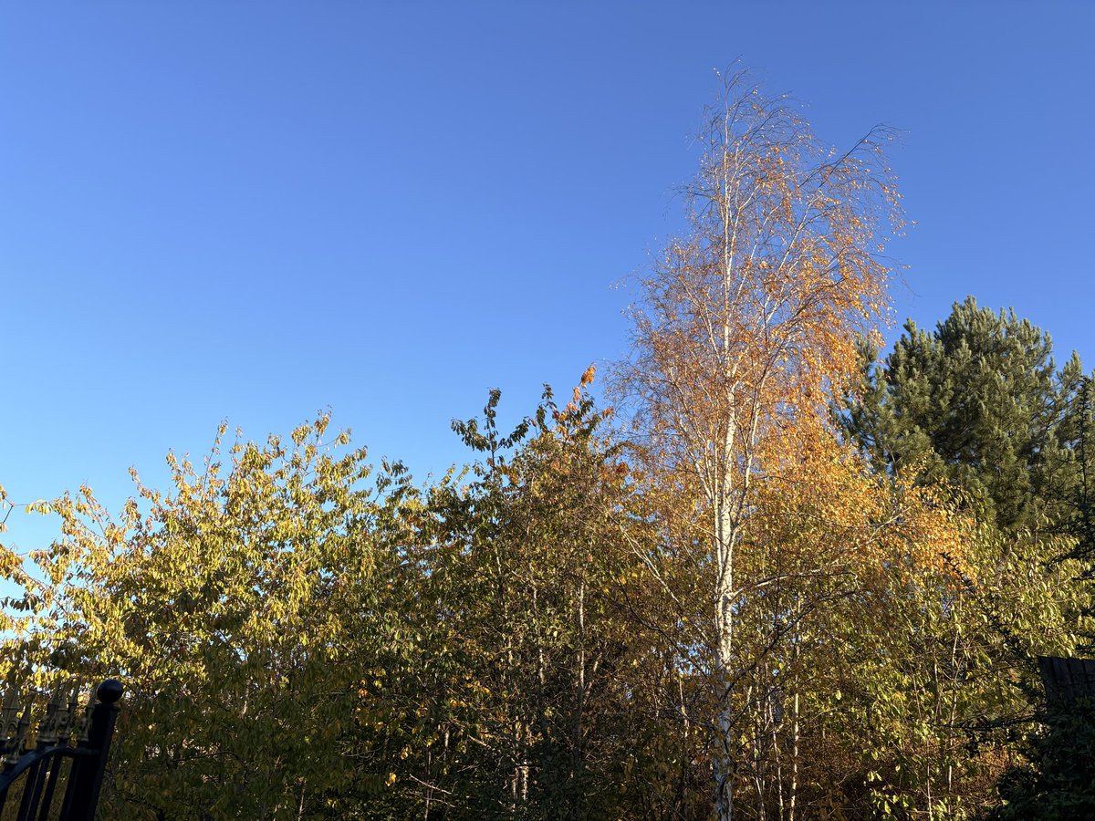 NCx and pro nature behaviour💚 tweet media