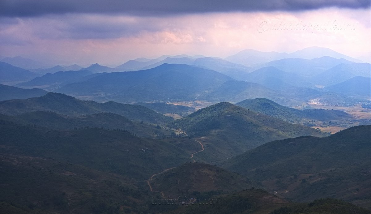 Walk4Health tweet media