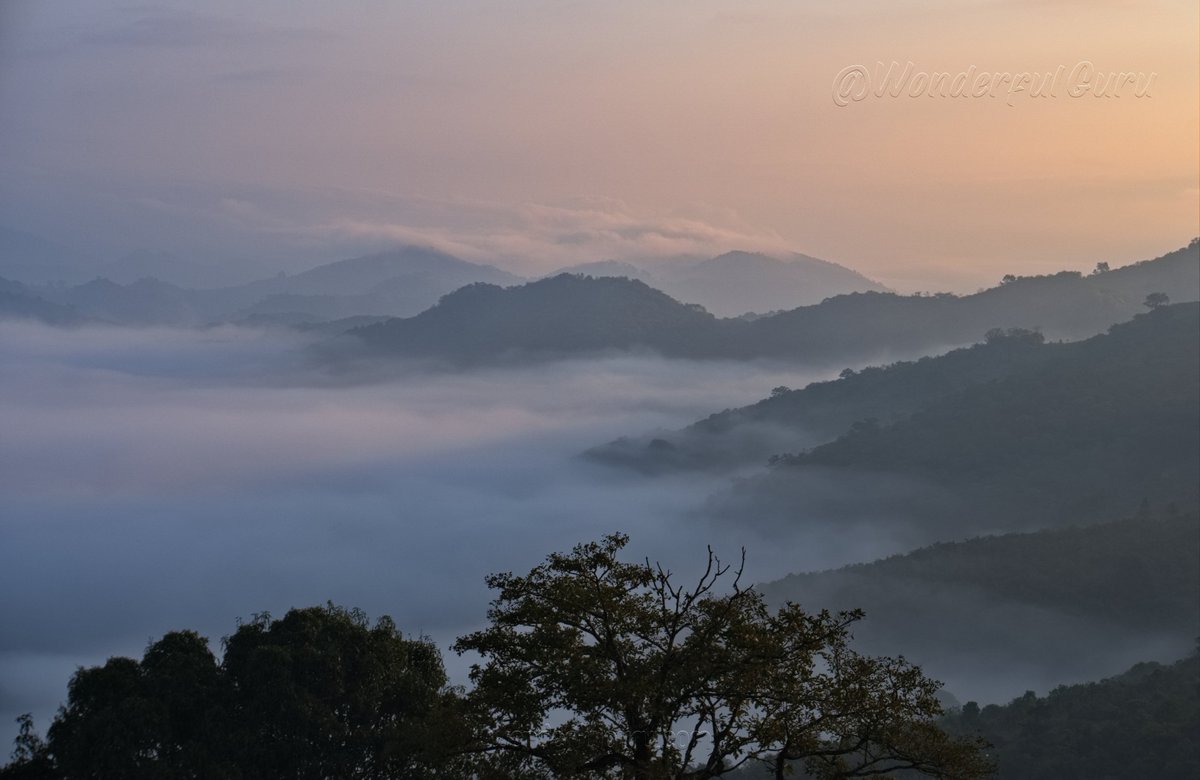 Walk4Health tweet media