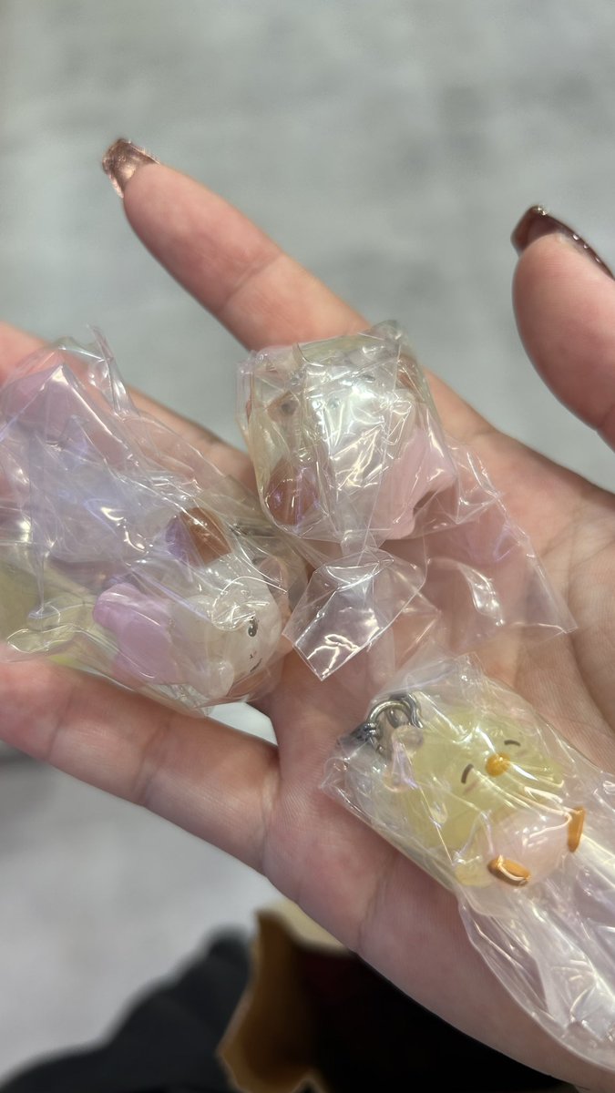 🐻‍❄️ tweet media