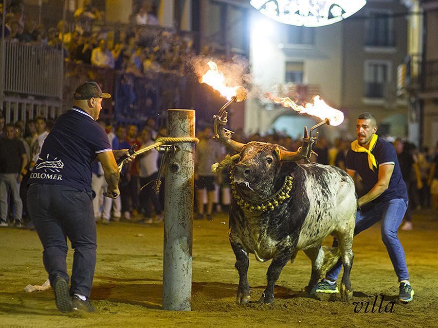 Un honor y emoción poder cortar a un <a href="/Decastajijona/">GANADERÍA PEÑAJARA</a> y en un marco incomparable como es Onda.
Gracias por el apoyo y consejos.
📸 Villa