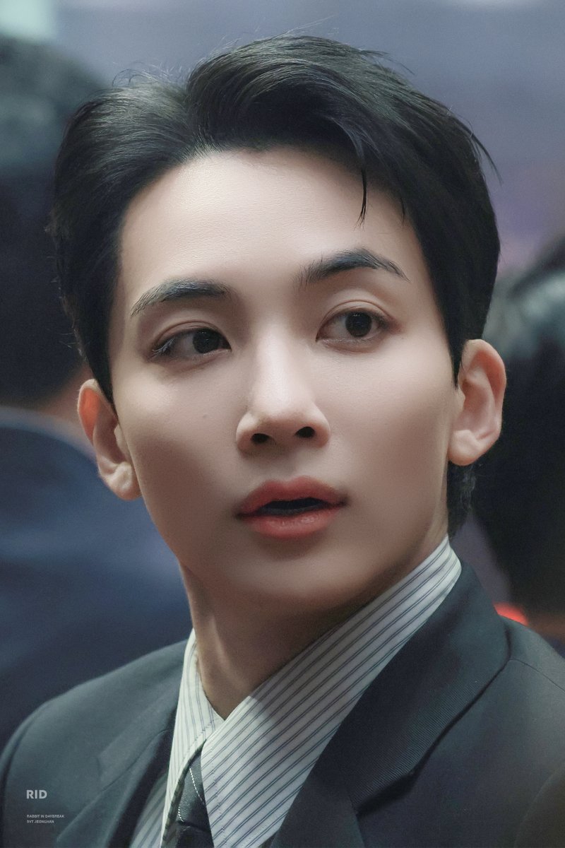 정한이의🍀 새벽토끼 🍀 tweet media