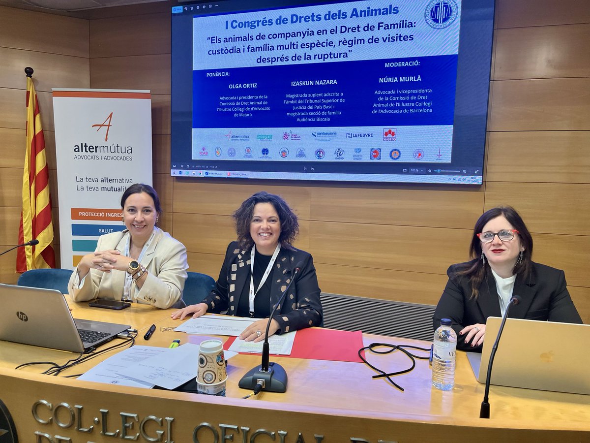 conselladvocat's tweet image. 🏠 Primera sessió: Els animals de companyia en el Dret de Família

✅ Custòdia, règim de visites i família multi espècie després de la reforma del Codi Civil

🗣️@Olgaormo, advocada @Ica_Mataro
🗣️Izaskun Nazara, magistrada TSJ País Basc

👩‍⚖️ @nuriamurlaribot, advocada @ICABarcelona