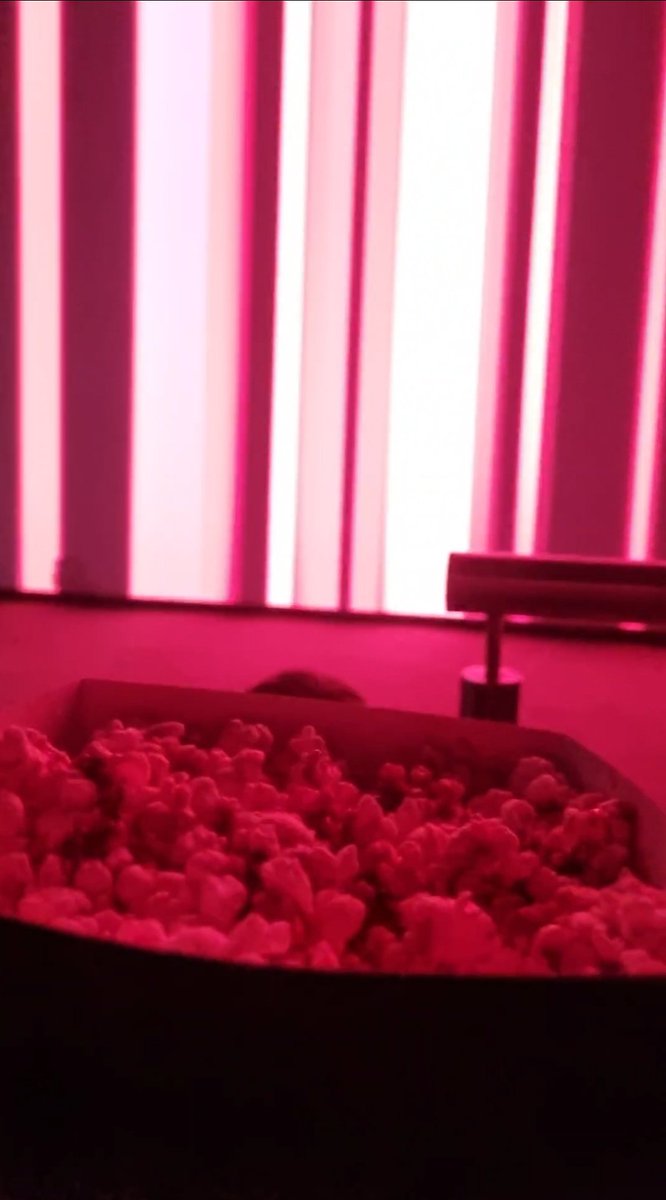 Gemma Martinez tweet media