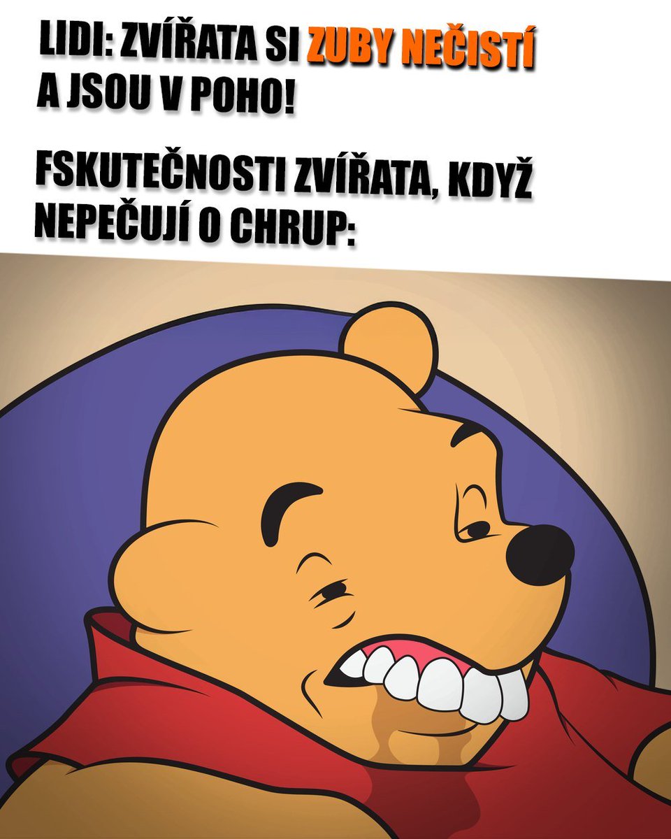 Vedator5's tweet image. 🪥 Proč si zvířátka nemusejí čistit zuby?

Víc hir ► vedator.org/2025/10/proc-s…

#zuby #chrup #nature #téma #priroda