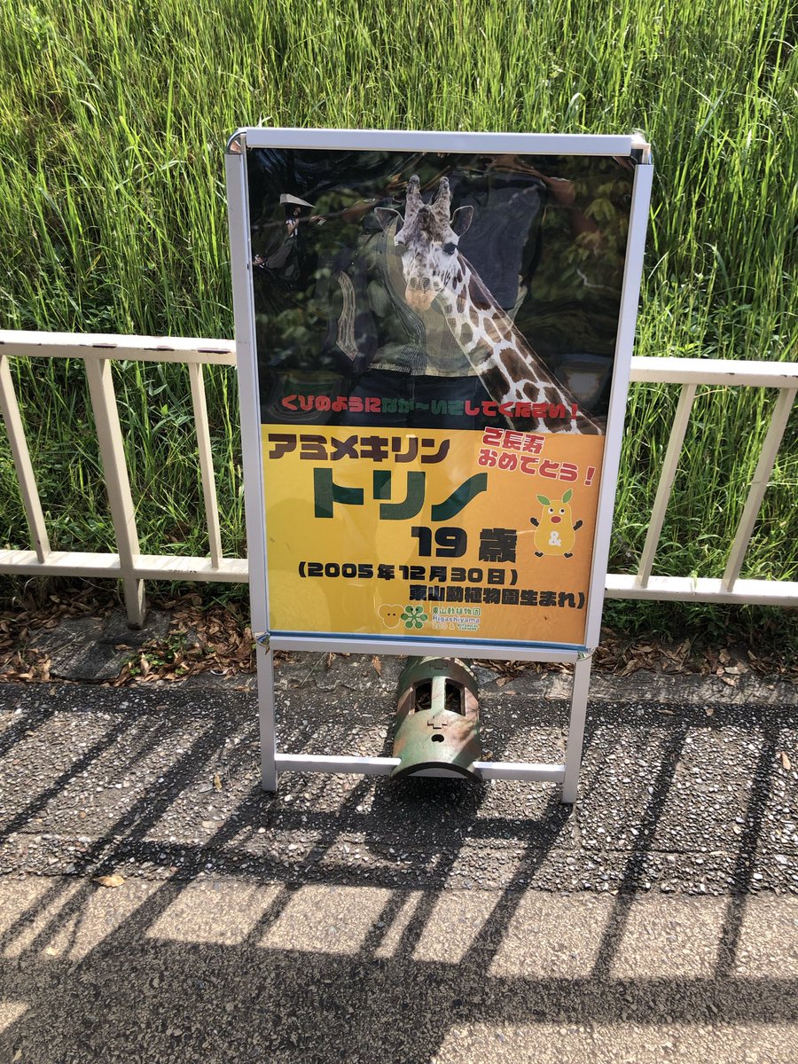 かめれおんです❗️オランウータン　旭山動物園　レトロ　初代　レア　希少❣️ かめれおん様専用です❗️オランウータン 旭山動物園 レトロ 初代 レア