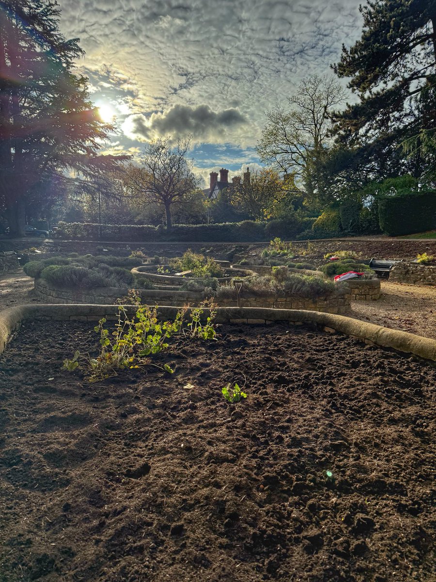Spent yesterday afternoon helping to replant the sunken beds in Central Park Peterborough … still more to do … watch this space …