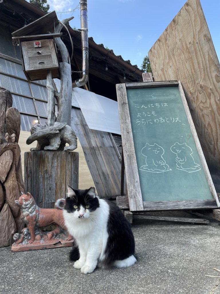 nekonatsuko's tweet photo. 明日はうらにわあとりえで秋保ねこ祭りへ参加します😸✨ そしてドキドキの放送🤭✨宮城県の皆さんはぜひ見てね🐾 #うらにわあとりえ
#東日本放送 #khb5 #ねこ #にゃんこけし #看板猫 #ねこ祭り #保護猫譲渡会
#秋保ヴィレッジ https://t.co/Kp7UwVITy9