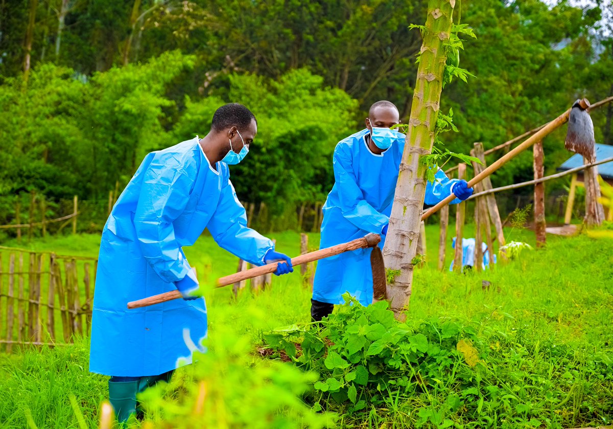 MibiliziH's tweet photo. Uyumunsi tariki ya 24/10/2025 @MibiliziH hakozwe umuganda ngaruka kwezi.waranzwe no gusukura inyubako zitandukanye z'ibitaro,hamwe no gukorera ibiti.Muri rusange  umuganda witabiriwe unagenda neza.@RwandaHealth
@RwandaWest @DioceseCyangugu @RusiziDistrict @Nishimwejuvenal https://t.co/iigvIPj3i4