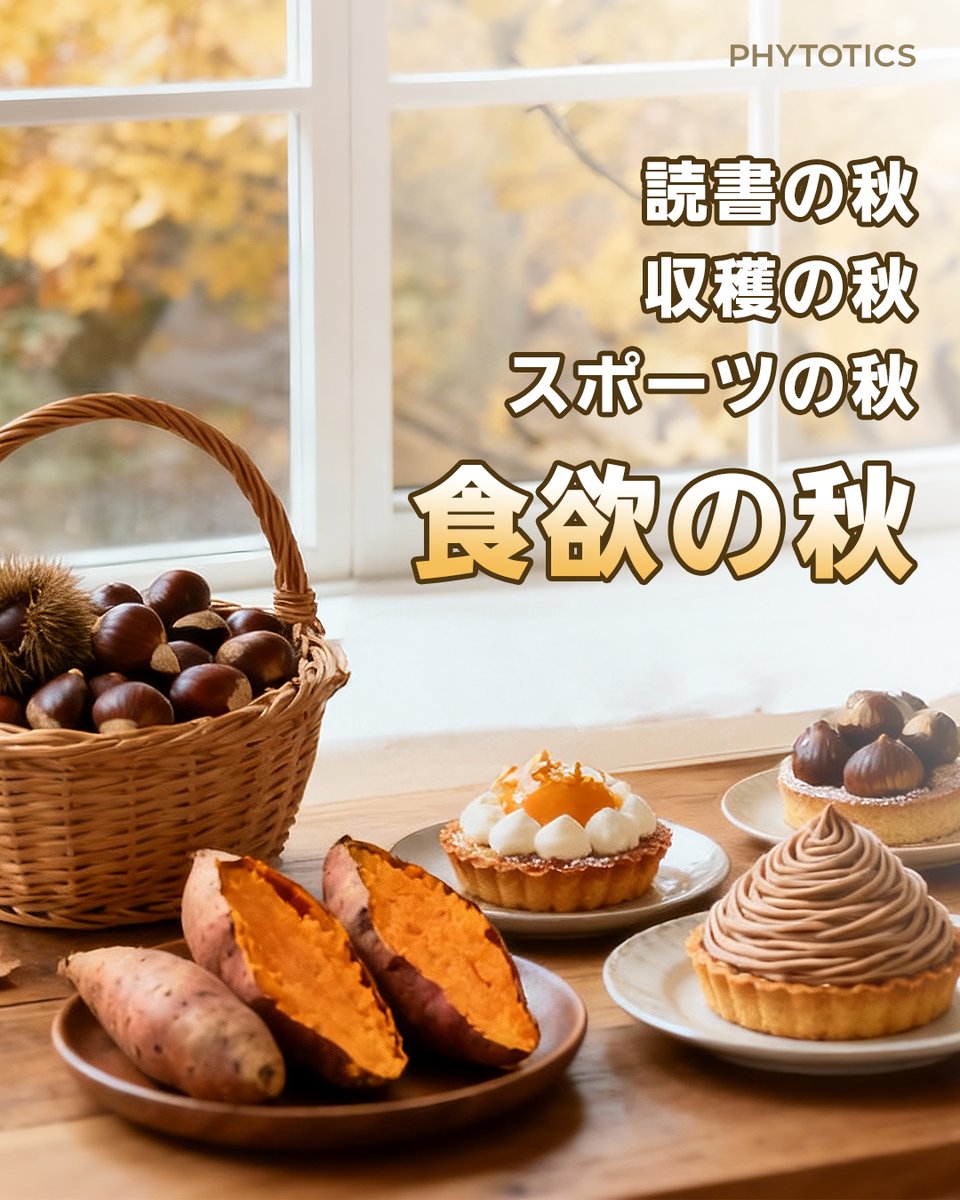 phytotics_jp's tweet photo. 食欲の秋、楽しんでますか？

美味しいものがい��ぱいの季節、
つい食べすぎてしまうのも“秋あるある”。
でも、体脂肪が気になるのも本音ですよね…💭

【フィトティクス赤色】🍊  
✔ ガルシニア抽出物で体脂肪ケア  
✔ 乳酸菌で腸活サポート  

フィトティクス赤色はQoo10公式ショップへ！ https://t.co/egcCSzlaCq
