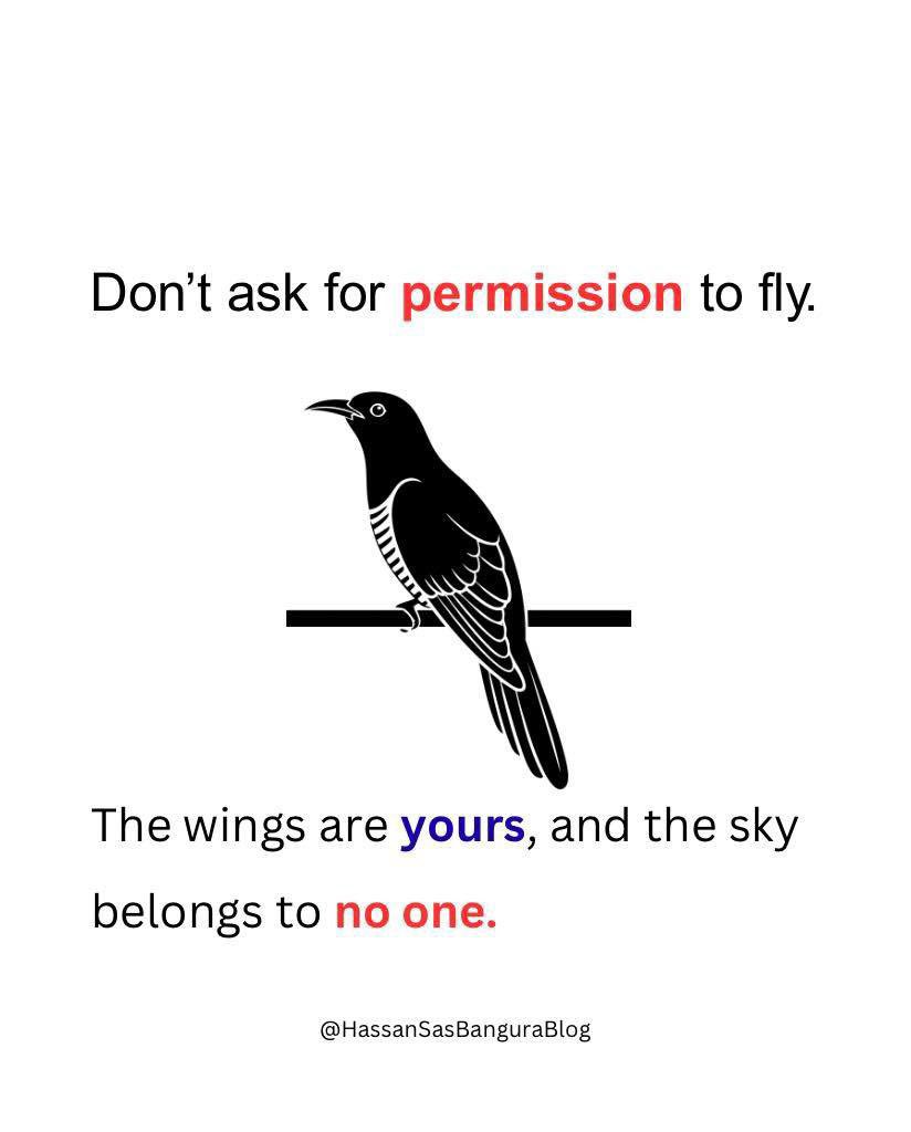DON’T ASK FOR PERMISSION. THE WINGS ARE YOURS AND THE SKY BELONGS TO NO ONE.

Too many brilliant people live their lives waiting for validation, for someone to say, you’re ready now. But the truth is, no one will ever give you permission to rise. The system is designed to reward