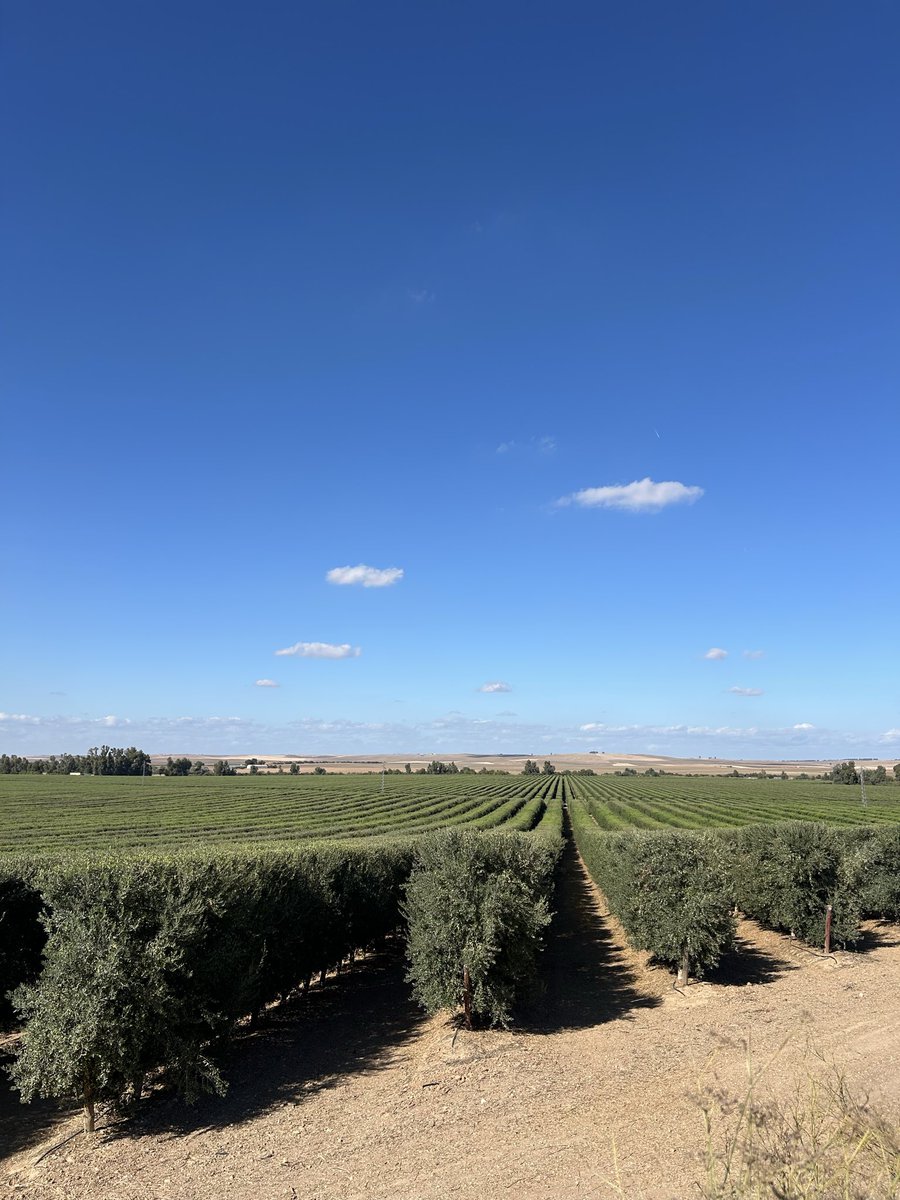 agrofrann's tweet photo. Muchas gracias por el día de ayer a Balam Agricultore💚 https://t.co/WrMjoNBD9C