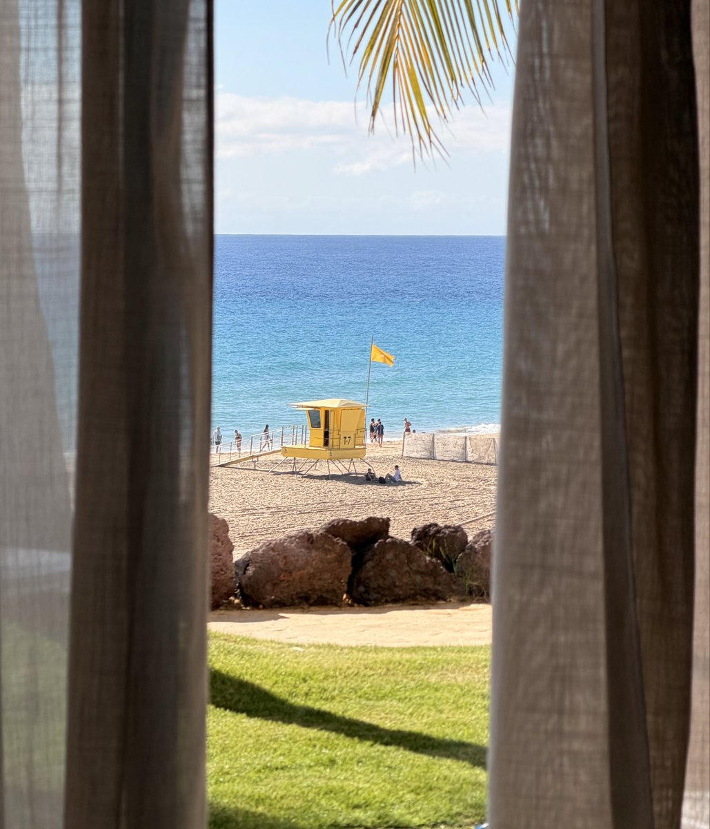 Danny 🐣 tweet media