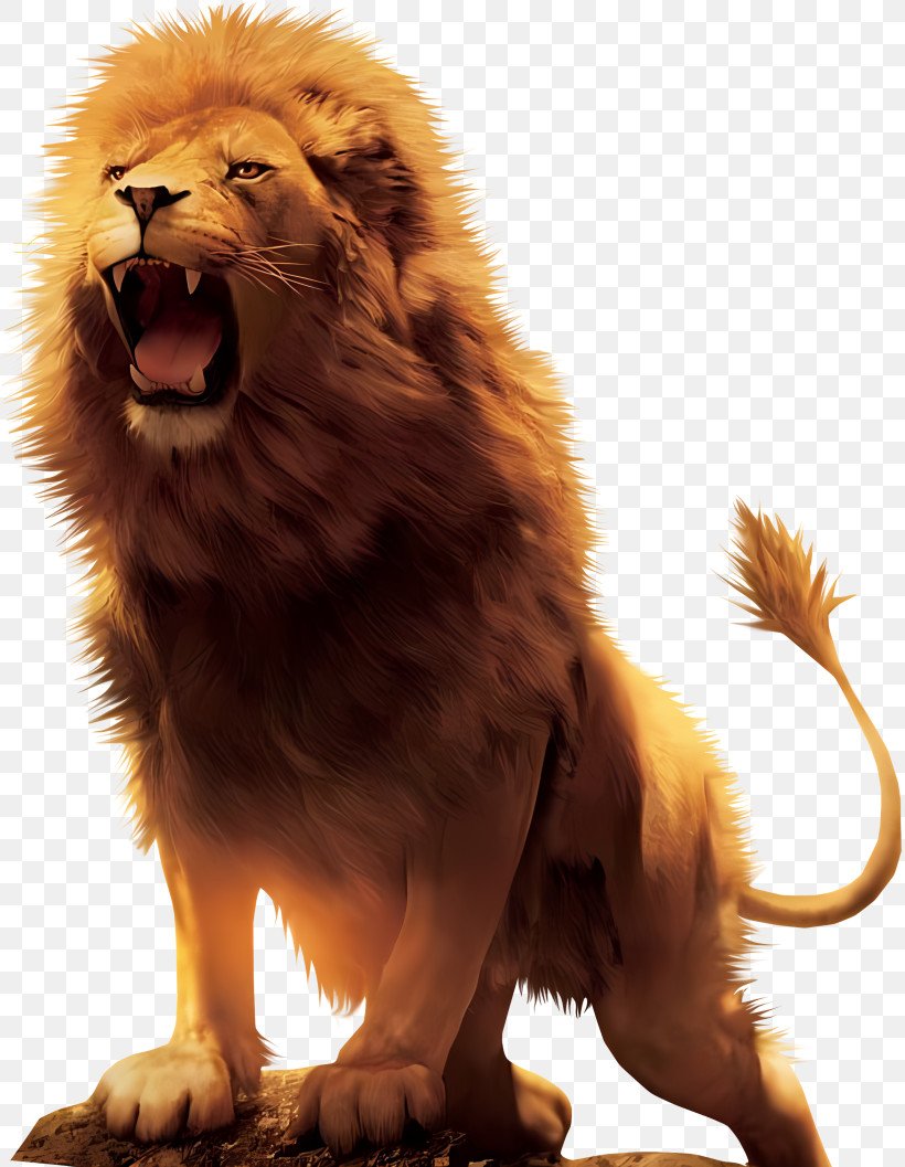 Leosniper_'s tweet photo. @AgborMoses34 Deflation+ burns your way to gains.
Early holders already feasting on rewards. Buy $LIONCOIN or get HUNTED π₯π₯
#CA.#RENOUNED https://t.co/XyeljKtpeI