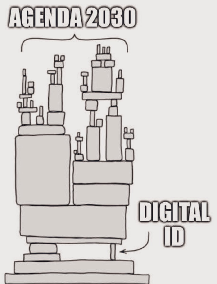 线条画描绘了一个高大不稳定的结构，类似于用堆叠的块和线条搭建的纸牌屋，底部元素标记为数字 ID，顶部部分标记为 2030 年议程，传达出一种脆弱感和基础重要性。