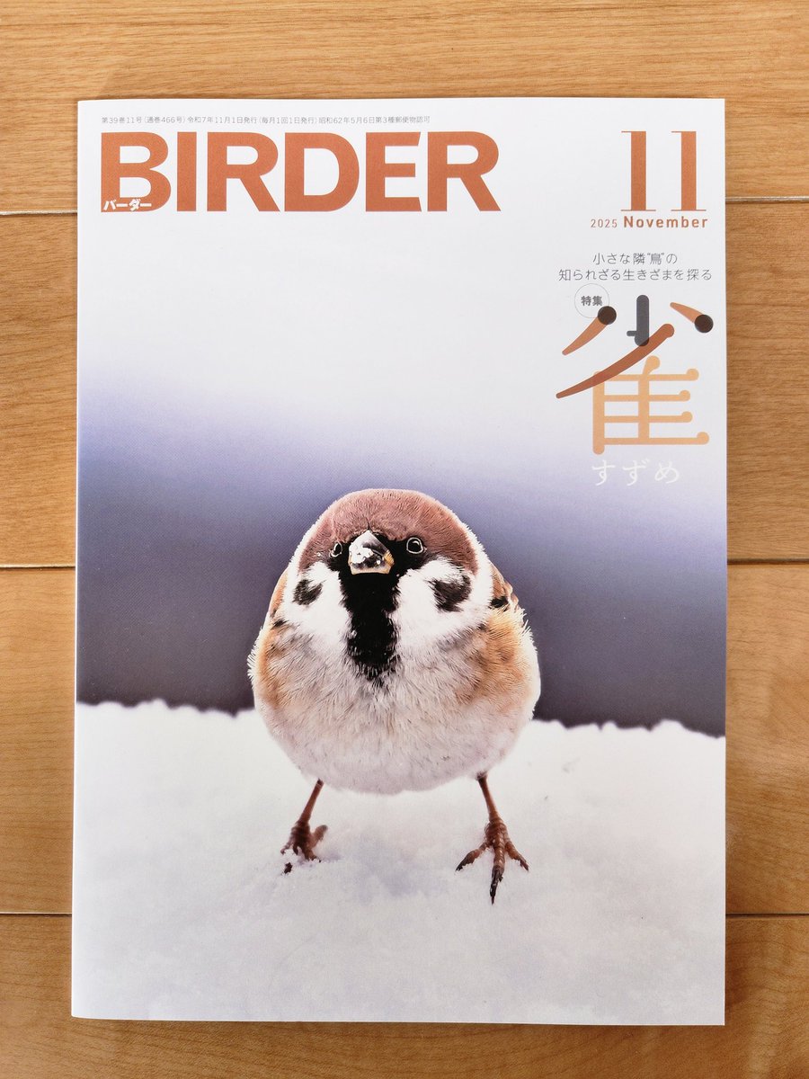 ぶーちゃんページ ブーちゃん | 藤城 清治 |本 | 通販 | Amazon