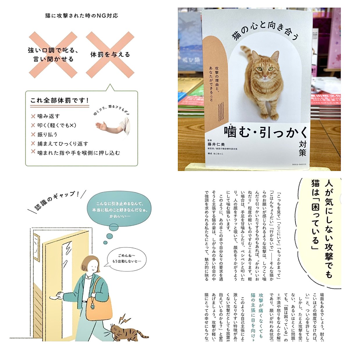 ねこねっこ🐈 猫の本専門出版📚新刊10/22 (@neco_necco_net