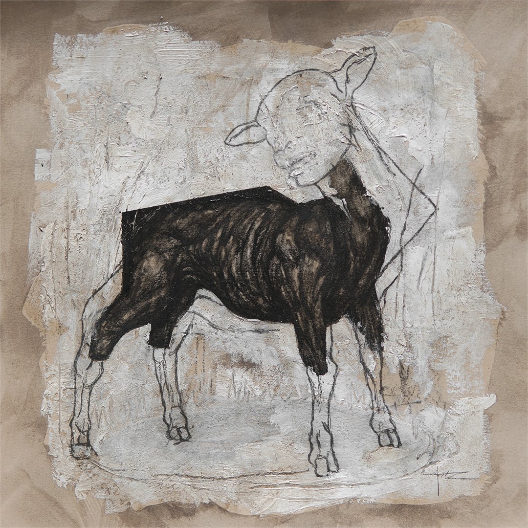 RAW n°9
New drawing