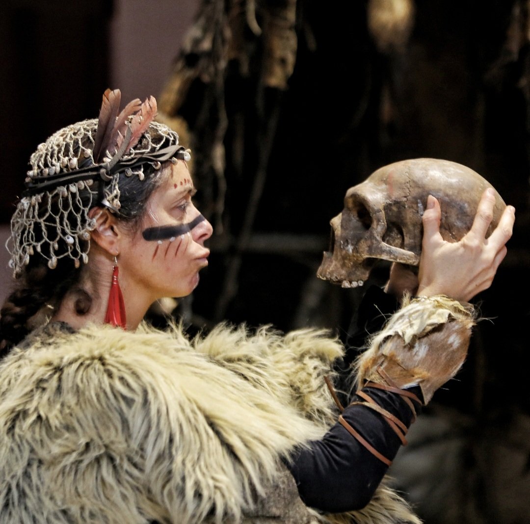 Paléosite tweet media