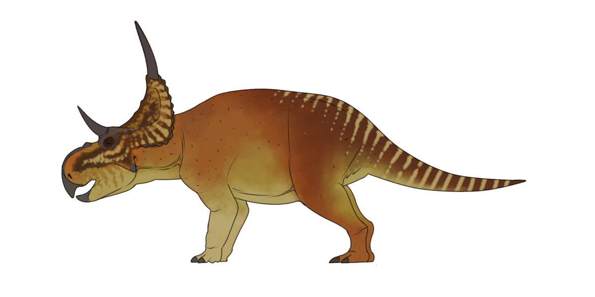 Wildlife of Skull Island - Skull Island Diabloceratops, these ceratopsians are one of the most common prey of the swamps, rivers, and floodplains large predators but their large herds are able to ward them off. Legend of Kong; King of Skull Island Concept art done by <a href="/MrFragilis/">PaleoFragilis43 (open commissions)</a>