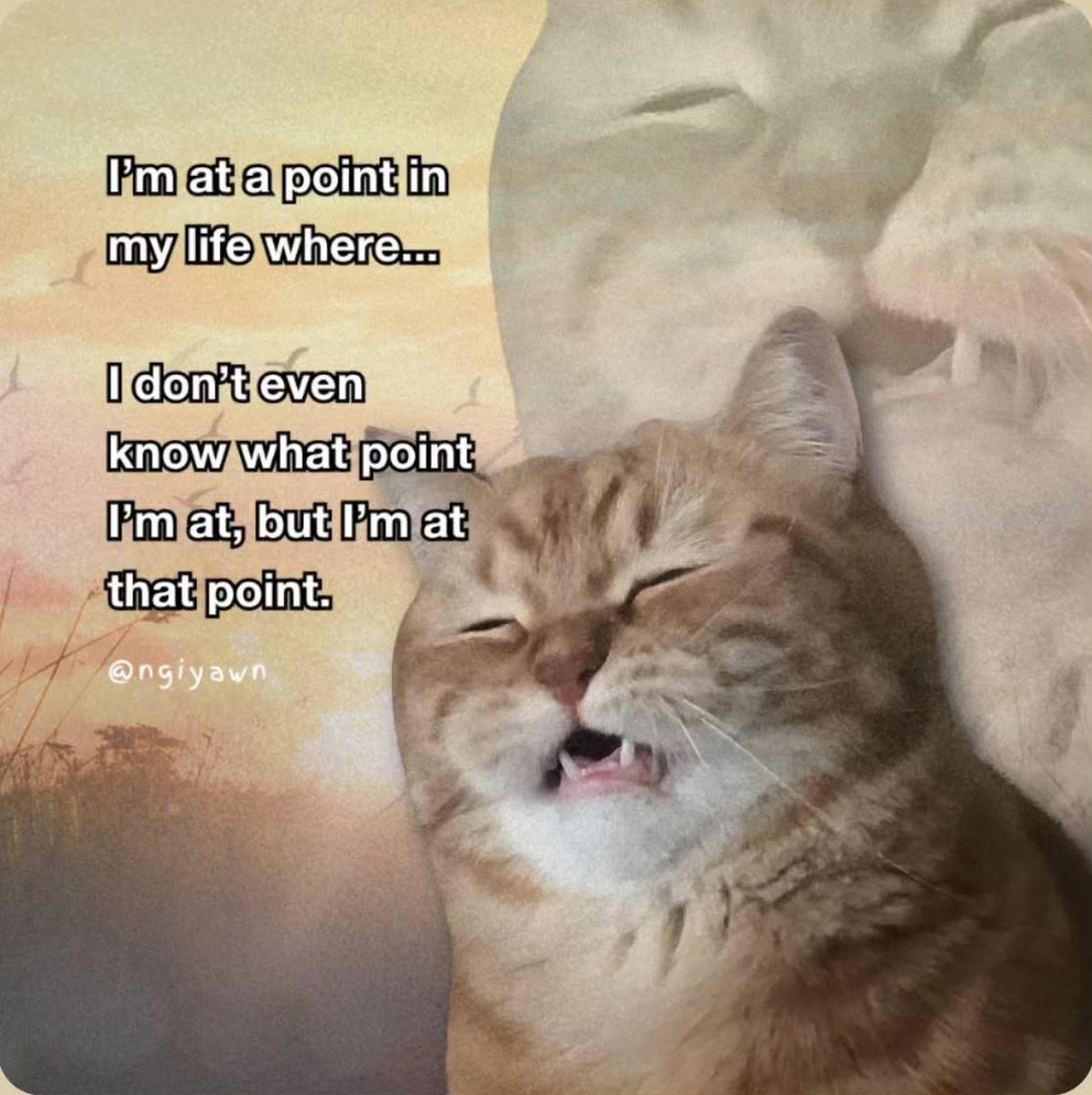 𝐍𝐚𝐬 (@nassuha_) on Twitter photo 