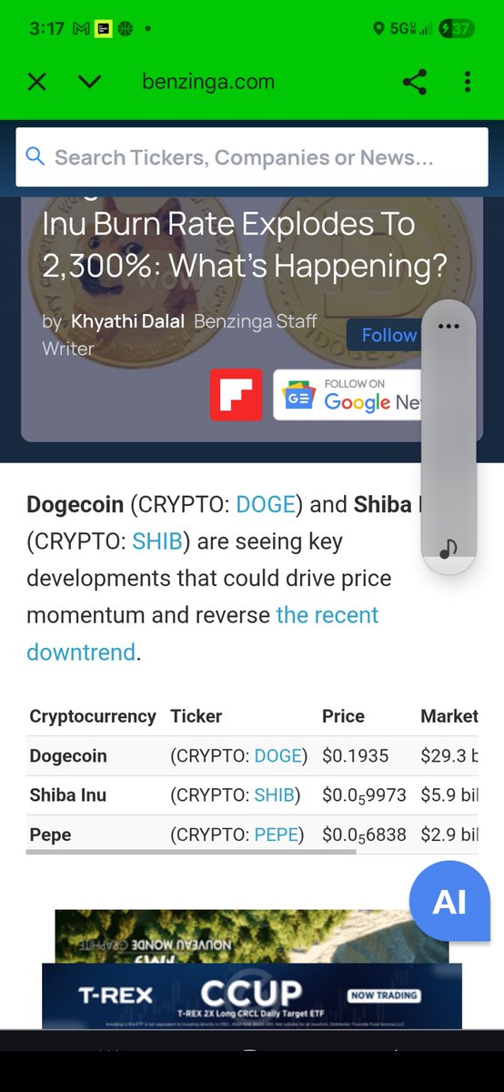 NickFlame84's tweet photo. DOGE AND SHIBA INU LOOK PROMISING BUT.....PEPE..THE SILENT...WATCHING🤓 https://t.co/bI3P6qJOmc