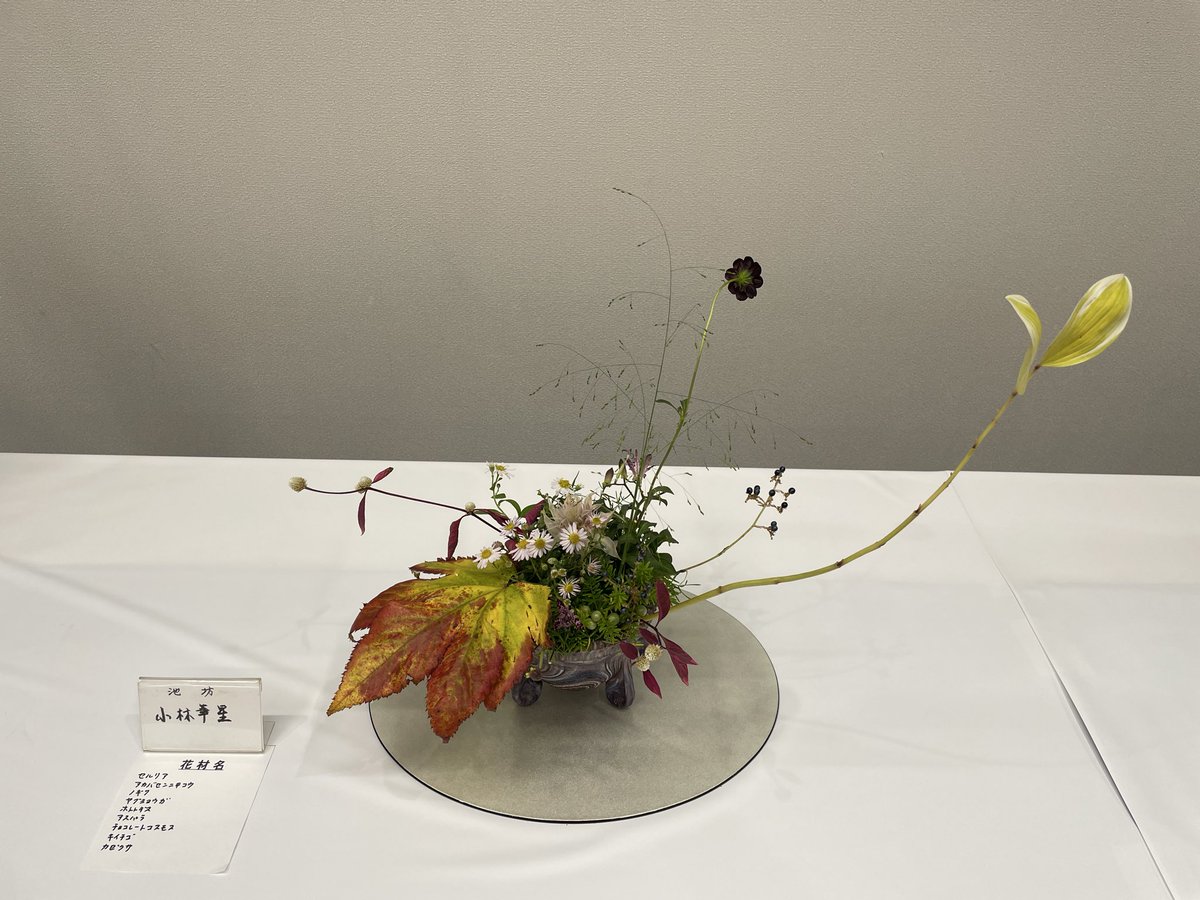 chigasaki_bdk's tweet photo. 茅ヶ崎市民文化祭
今週末は、

24から26日　盆栽展
26日　合唱のつどい　大ホール
同日　クラシックコンサート　小ホール

入場無料
茅ヶ崎市民文化会館へどうぞ

画像は、先週末の華道展より https://t.co/kCjMkq2PUN