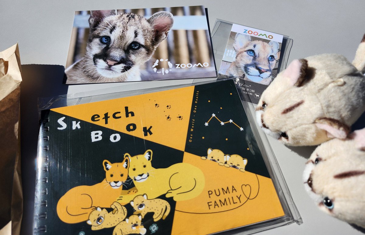 アバウトアニマルズ ピューマ アバウトアニマルズ ピューマ キッズ 【PUMA】 プーマ 17-21 BAO