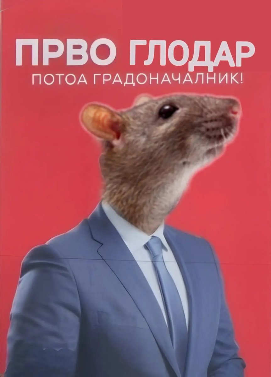 А ова било тоа, уствари, #Мицика шо не' викаше ПОЛИТИЧКИ ГЛОДАРИ... Пази шо посакуеш, баце, може и да ти се оствари! Еве, цело Скопје со стаорци го напраивте од инат. Штеточини. 

#VmroNevermore