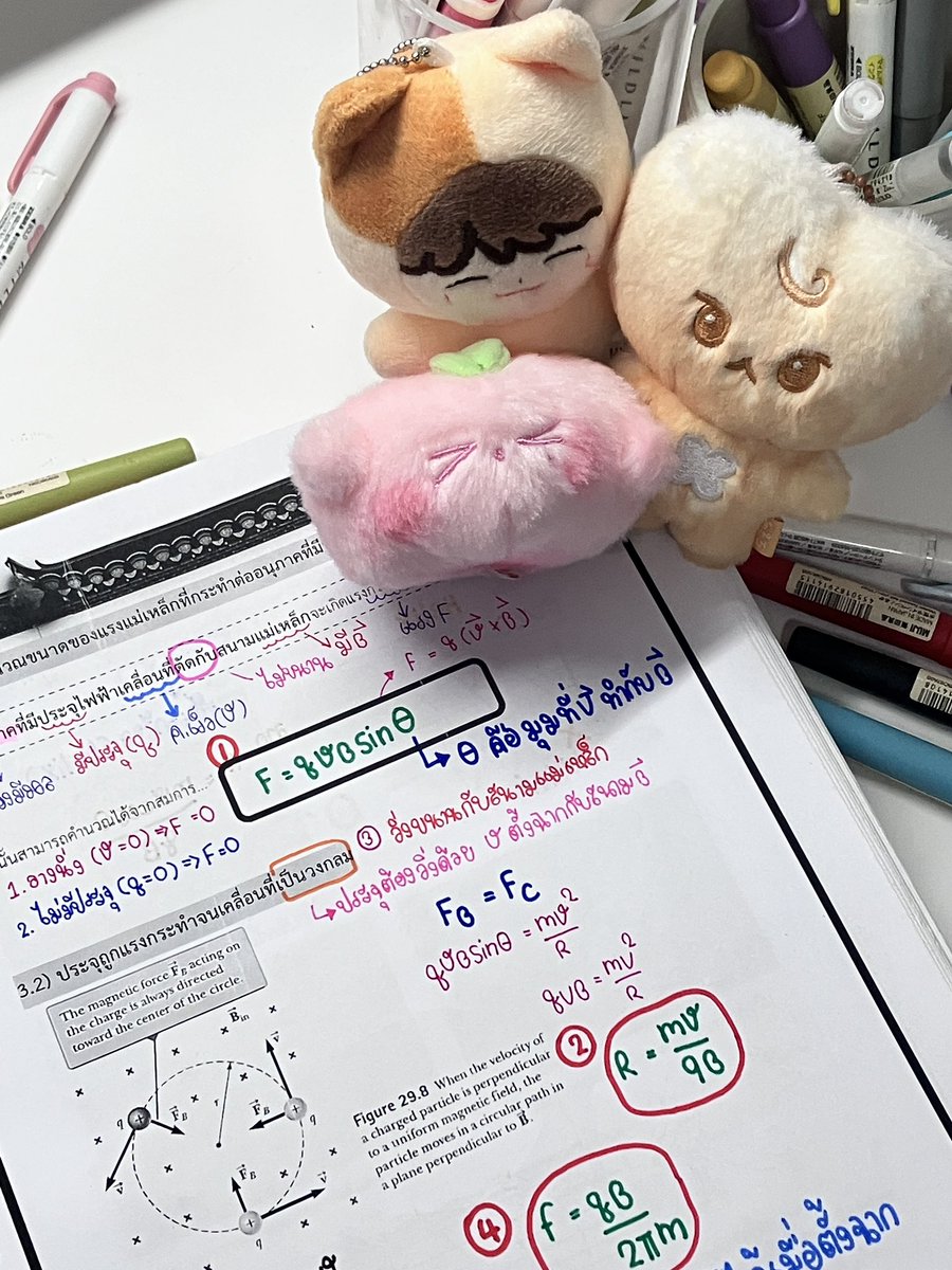 yourgenthur's tweet photo. Mama fighting 🍞🌟 #studywithgenthur https://t.co/QNZHHvJ14O