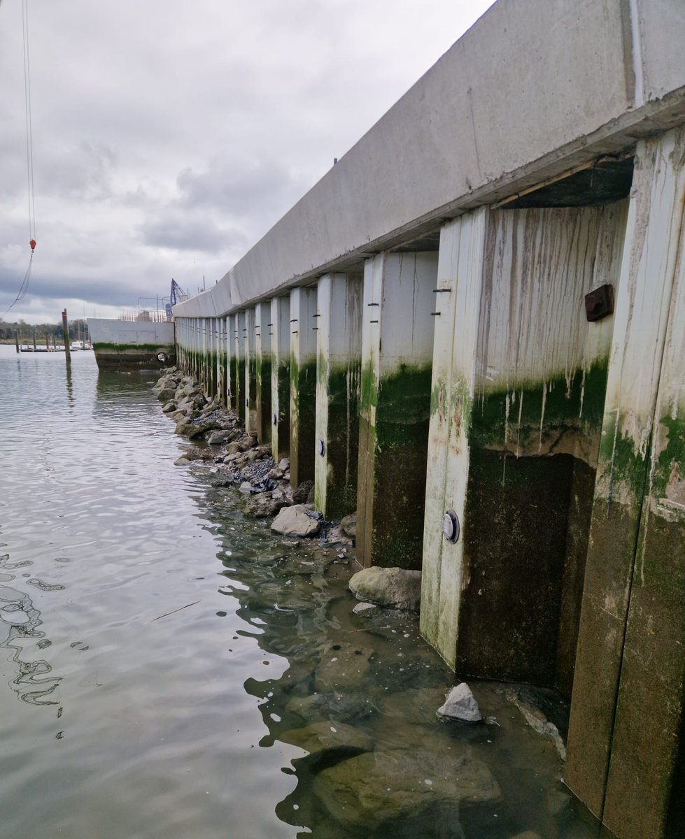 JETFilterSystem's tweet image. THE JET Filter Systems UK &amp;amp; The Plastic Piling Co. are pleased to confirm that we will be exhibiting at The National Civils Show November 26th and 27th. 
Stand CB58 at ExCeL London.
#plasticpiling
#piling
#vinylsheetpiling
#sheetpiling
#civils
#JETFilter
#floodex
#drainageshow