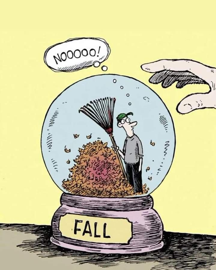 Archivo de Humor Gráfico Argentino 💭 tweet media