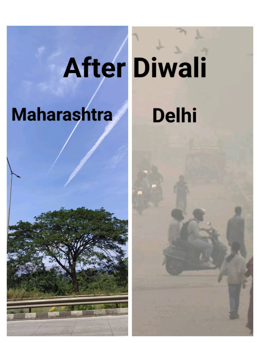 Dilli, Diwali aur Diwala nikalnaa

#delhipollution #Diwali2025 #MaharashtraNews #pollution
