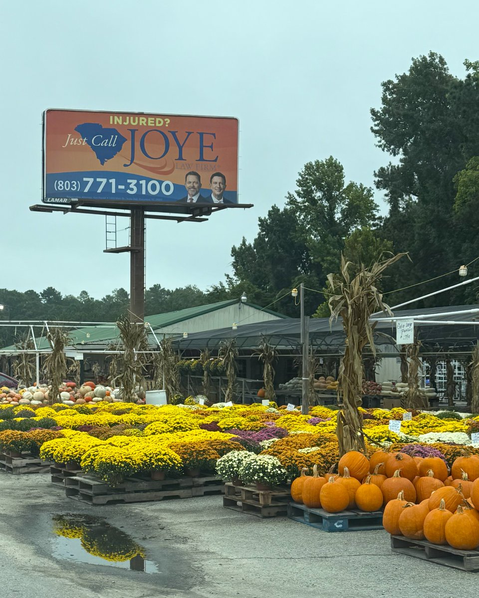 JoyeLawFirm's tweet image. 🎃 Look what was spotted at the Cayce Farmers Market, our Joye Law Firm Injury Lawyers billboard looking right at home among the pumpkins!

#JoyeLawFirm #JoyeInTheCommunity #CayceSC #FarmersMarketFind #PumpkinSeason #FallVibes #BillboardSpotting