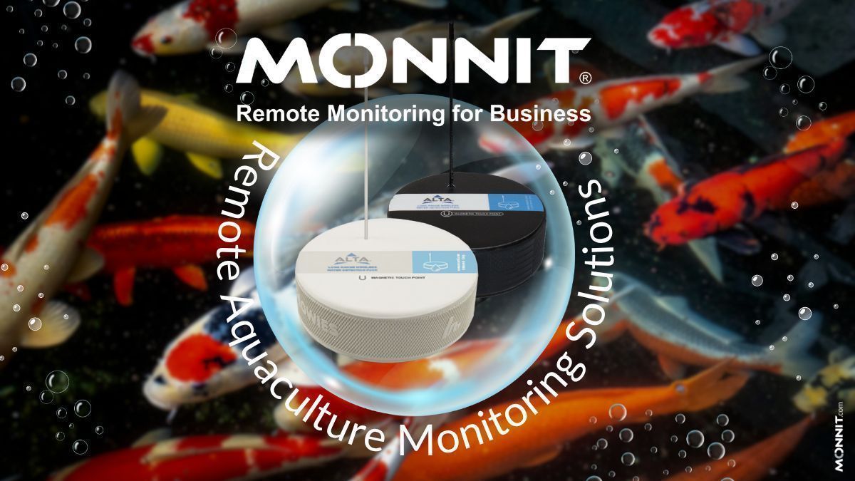 monnitsensors's tweet image. IoT Systems for Greenhouses, Grow Houses, Hydroponics &amp;amp; Aquaculture 

Where horticulture, floriculture, and aquaculture meet smart technology
—Monnit helps you grow with confidence. 

buff.ly/NUmlyLu 
.
.
.
#Monnit #IoT #SmartFarming #Greenhouse #Hydroponics #Aquaculture
