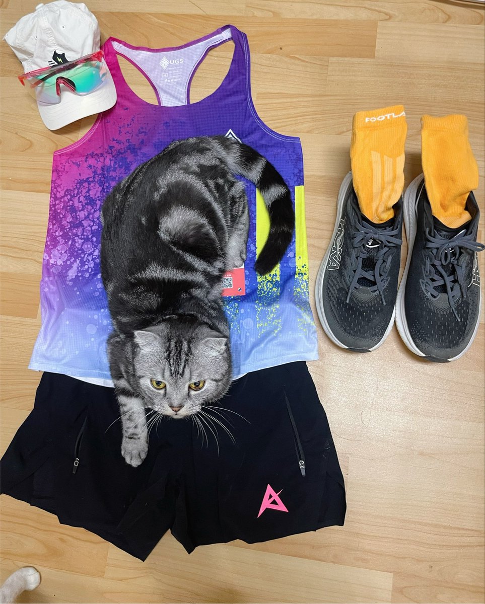 日月潭(台湾1番大きい湖)マラソン🏃‍♀️
湖一周29kmで上昇600m🫨
✩︎
綺麗な景色を楽しみ😌✨