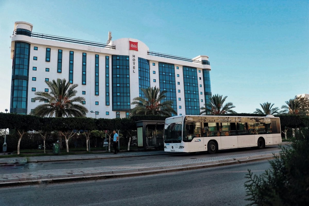 Algeria Project tweet media