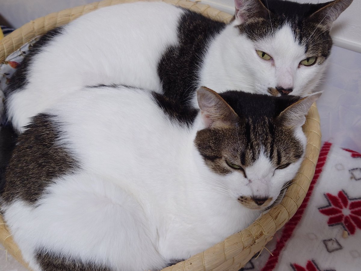 みずポン様 すず on X