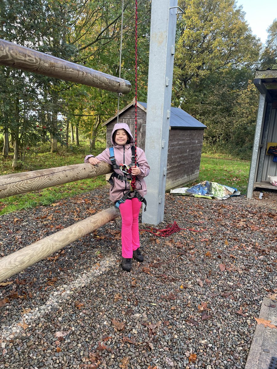 Layton Trips tweet media