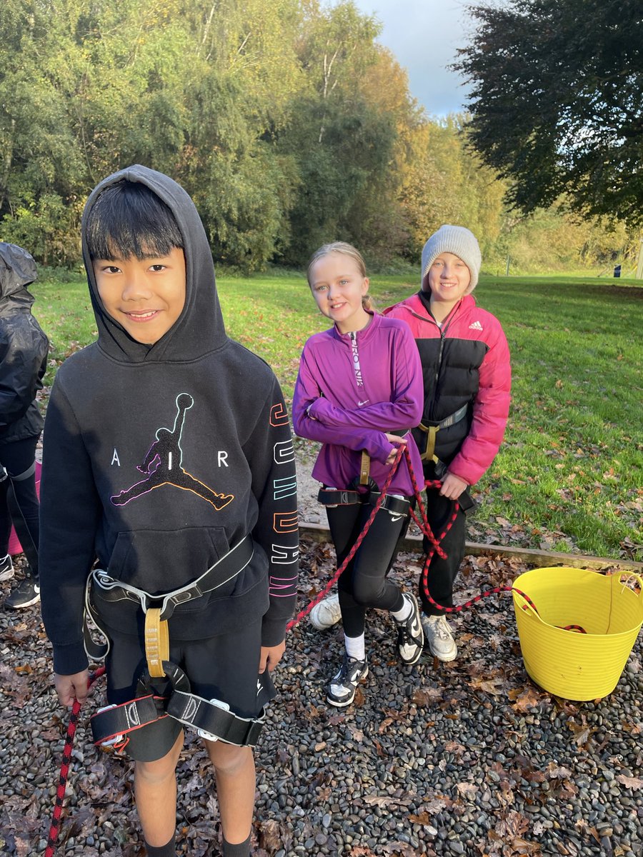 Layton Trips tweet media