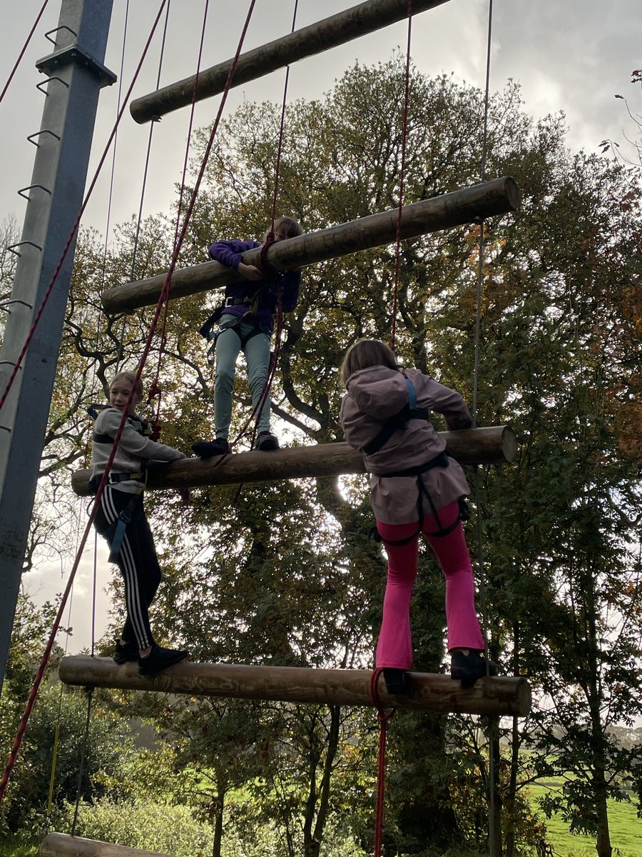 Layton Trips tweet media