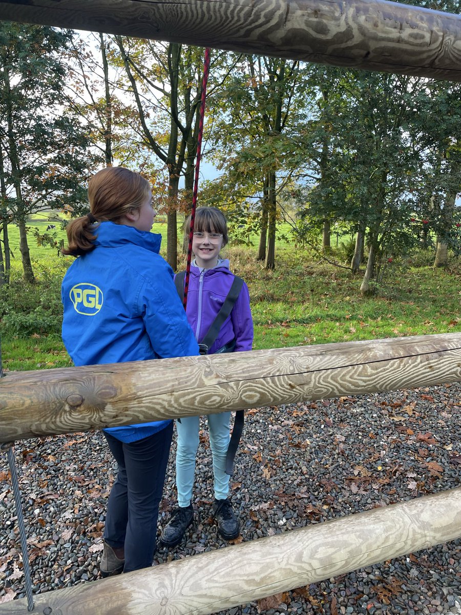 Layton Trips tweet media