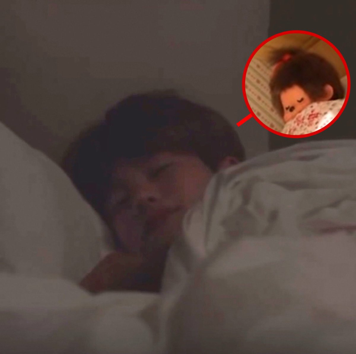 ⋆ Pekkle 𖦹⭑.ᐟ (@_pekklelsh) on Twitter photo 