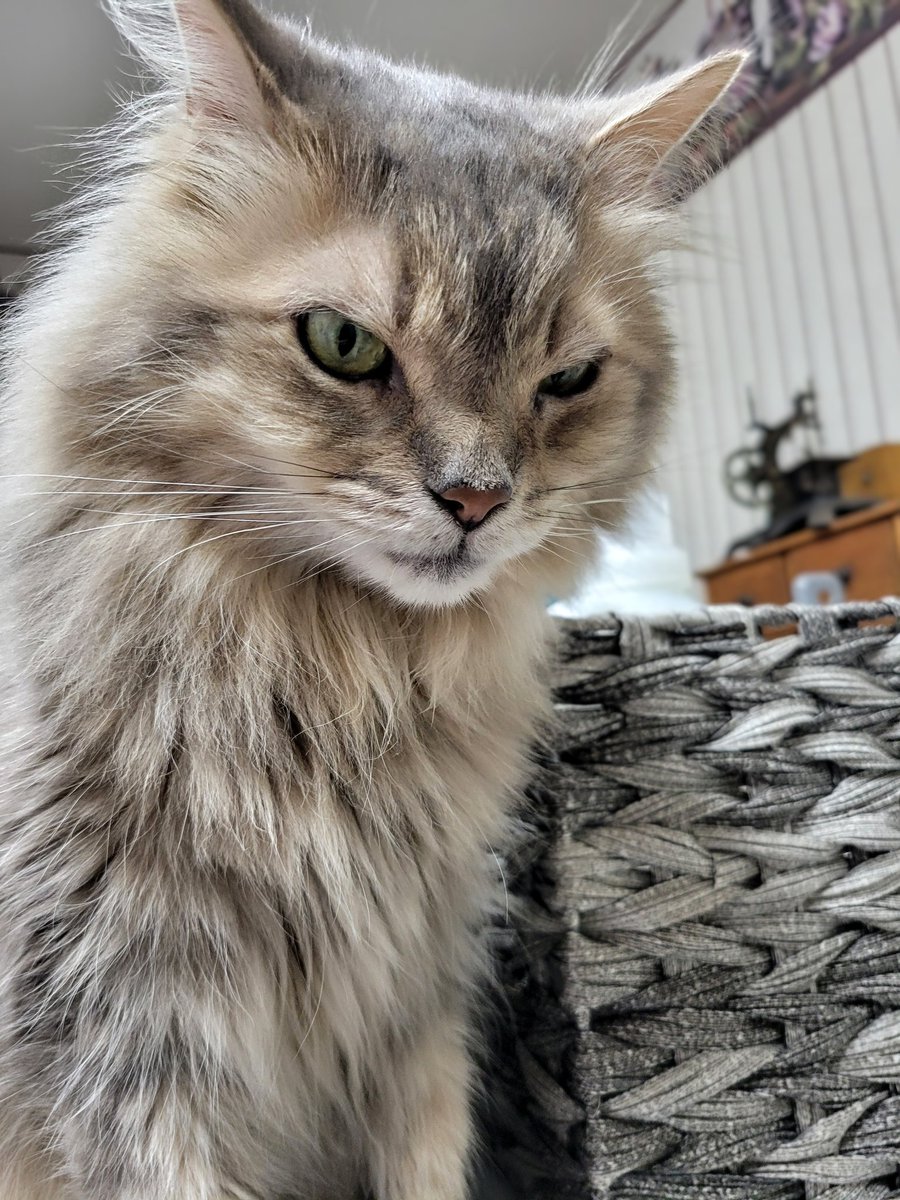 Is it Friday yet?