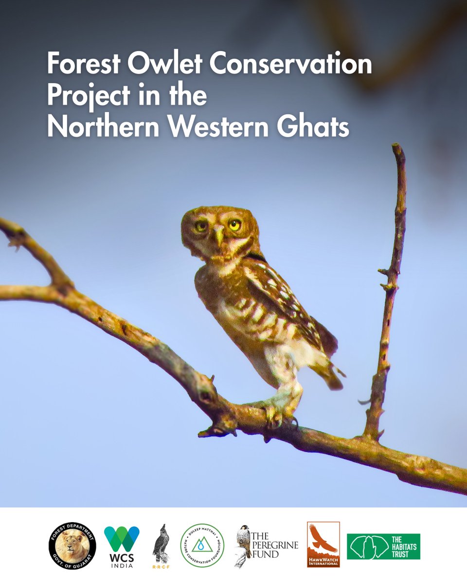 WCS-India tweet media