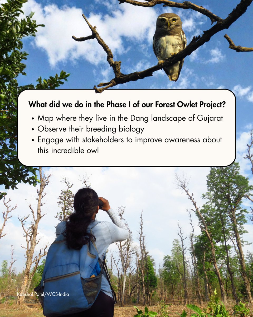 WCS-India tweet media