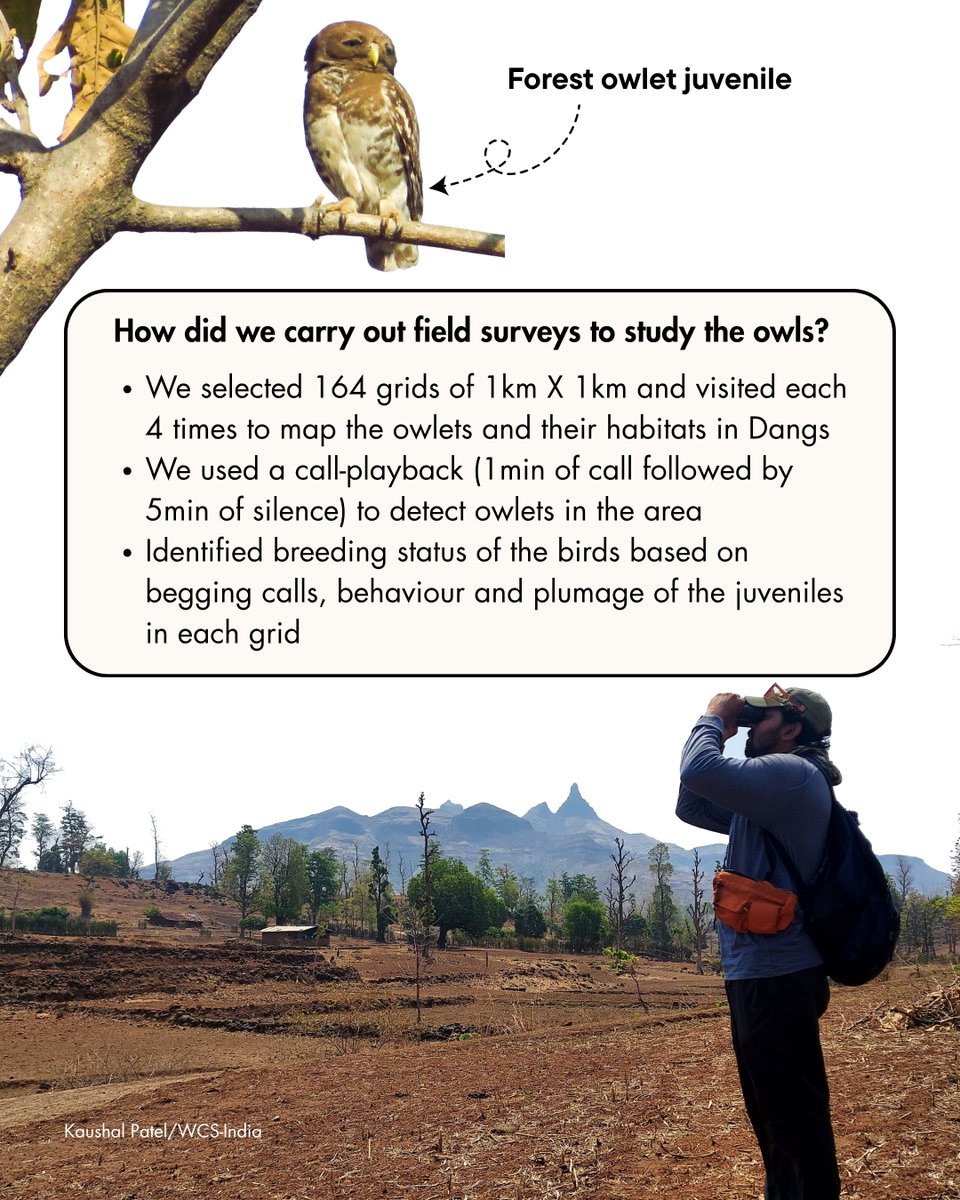 WCS-India tweet media